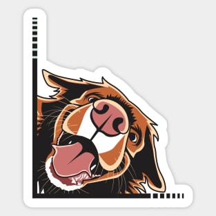 The Curious Toller Nova Scotia Duck Tolling Retriever Sticker